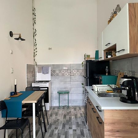 Small Apartment - Historic House クルージュ＝ナポカ エクステリア 写真