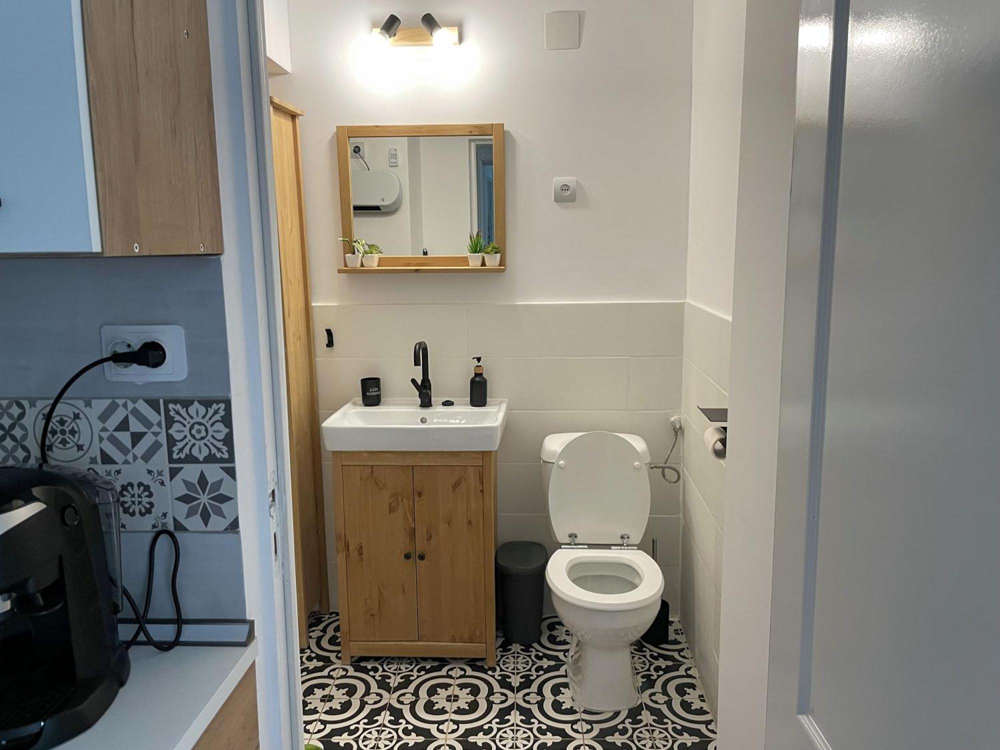 Small Apartment - Historic House クルージュ＝ナポカ エクステリア 写真