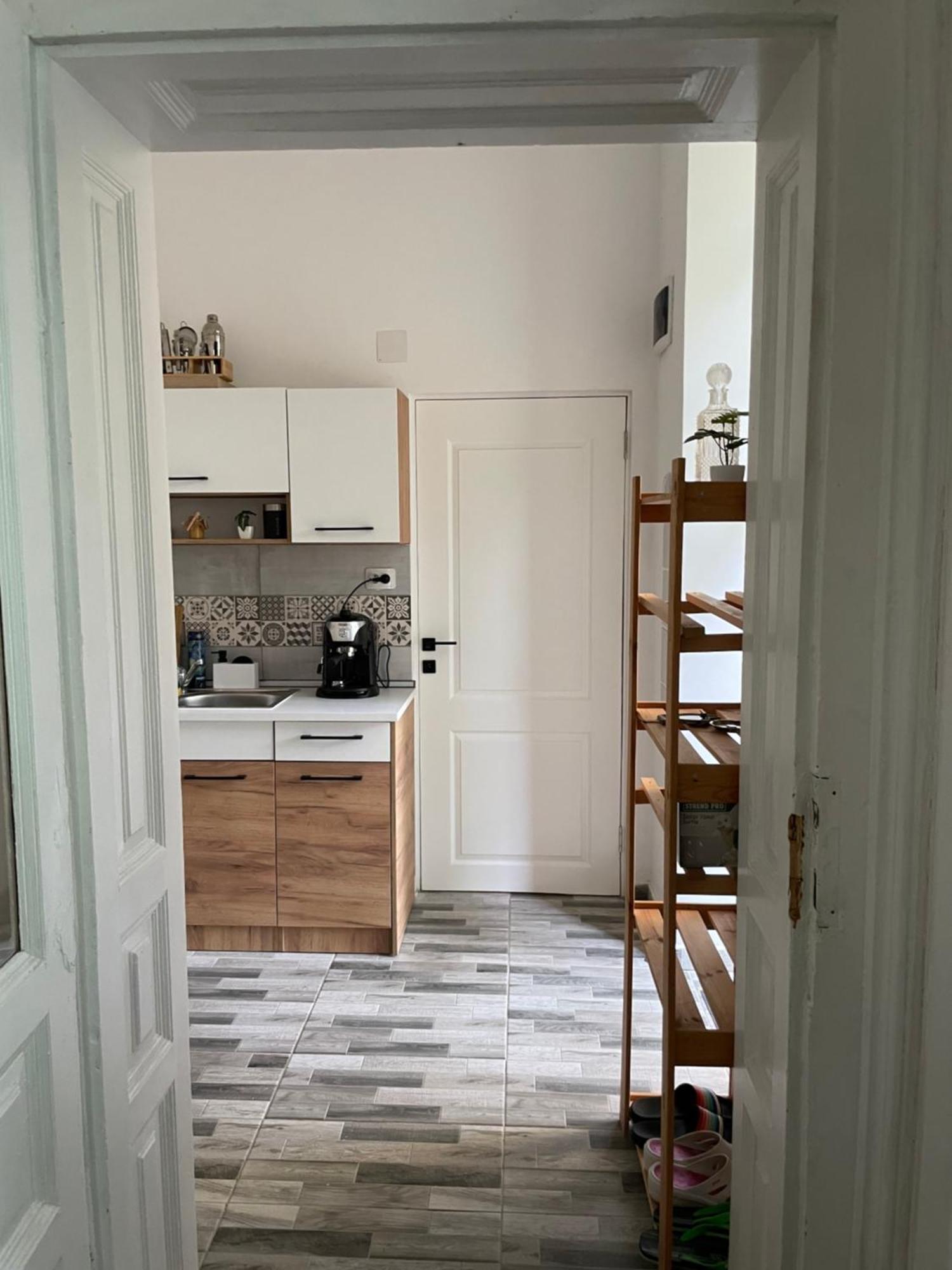 Small Apartment - Historic House クルージュ＝ナポカ エクステリア 写真
