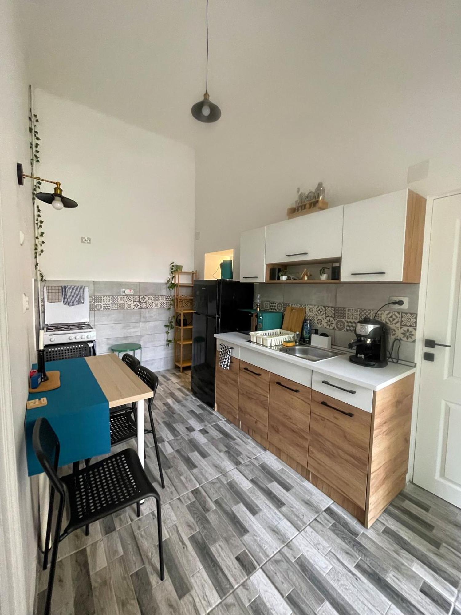 Small Apartment - Historic House クルージュ＝ナポカ エクステリア 写真