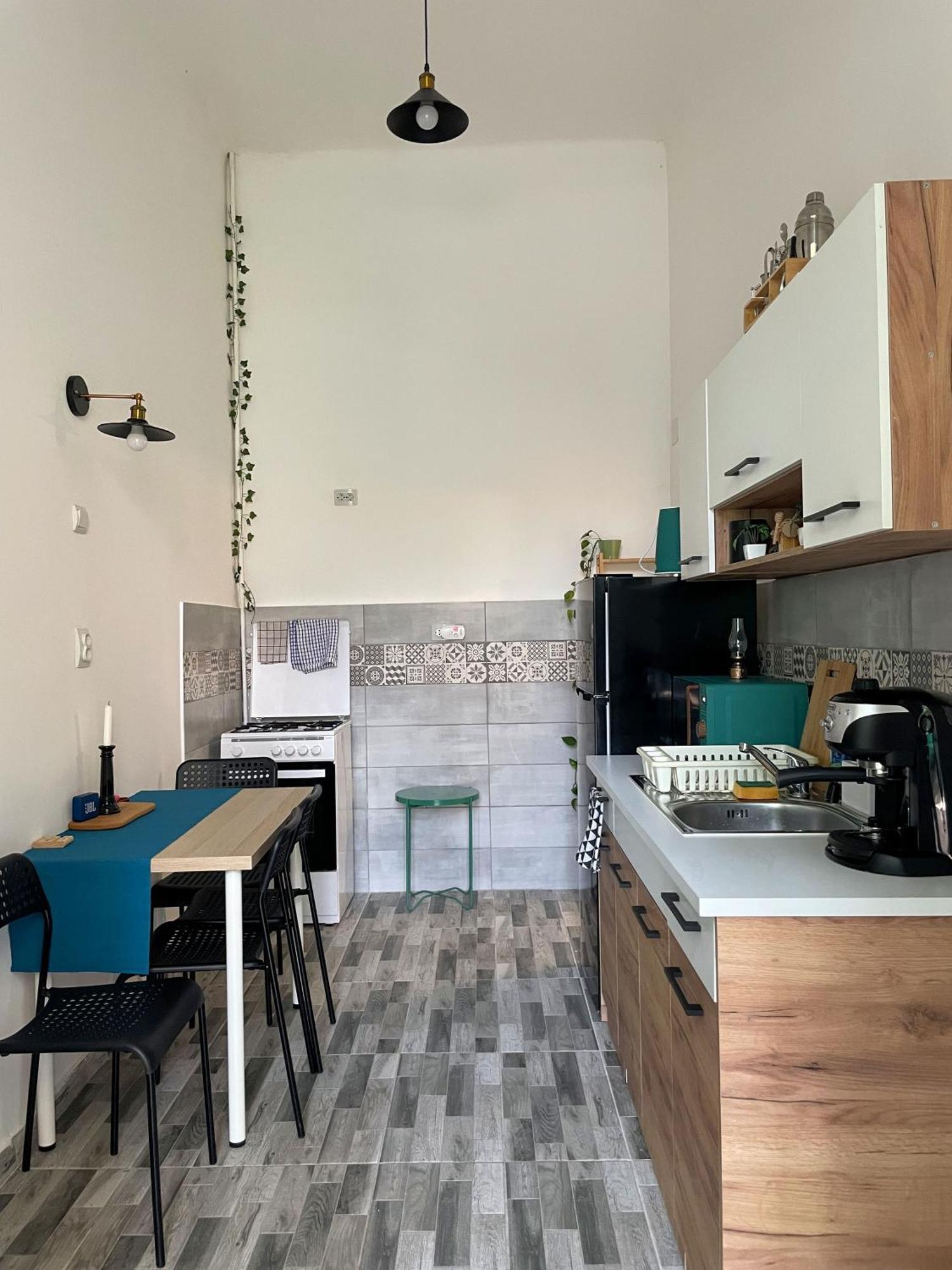 Small Apartment - Historic House クルージュ＝ナポカ エクステリア 写真
