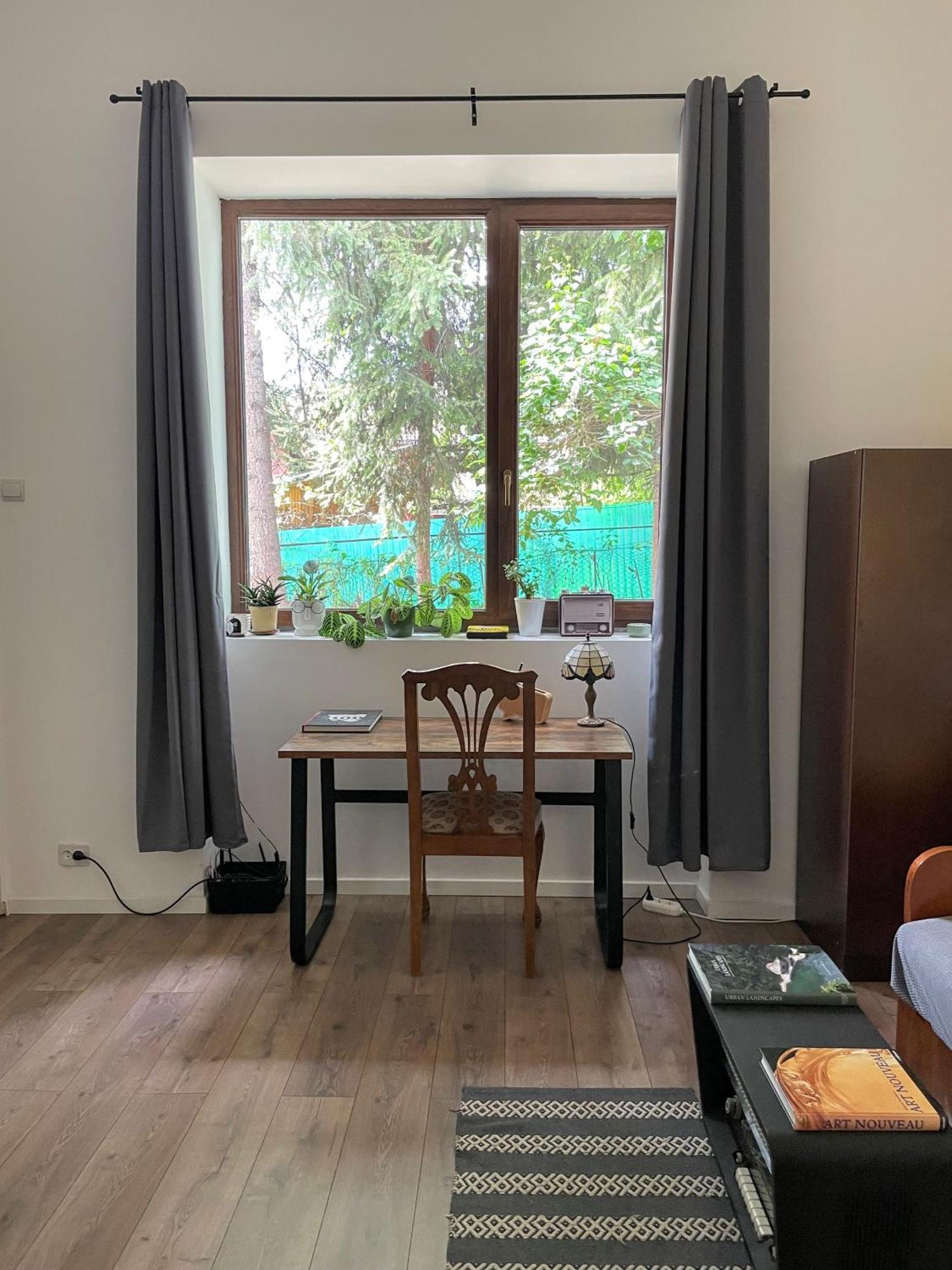 Small Apartment - Historic House クルージュ＝ナポカ エクステリア 写真